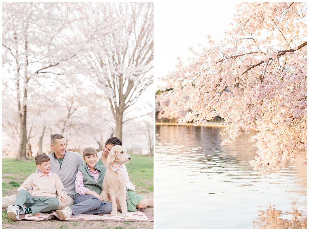 Family sitting and smiling with their pup amidst the cherry blossoms in Washington DC