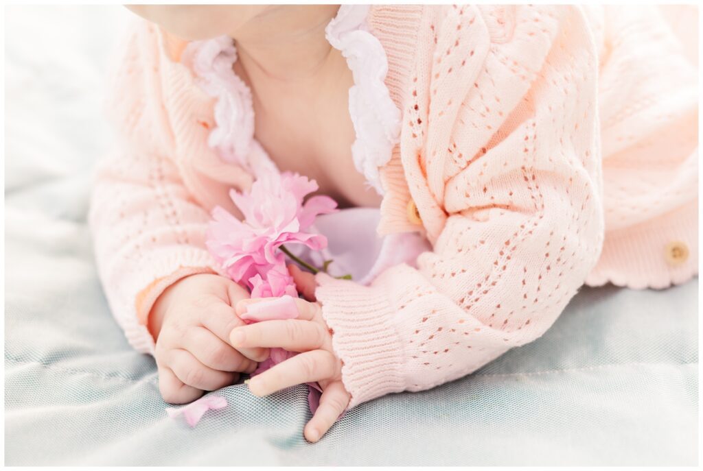 Baby hands holding flower petals